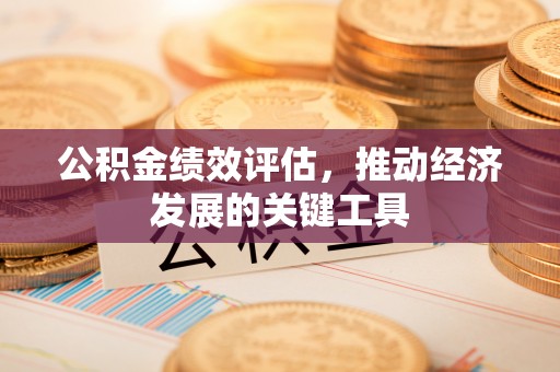 山丹公积金绩效评估，推动经济发展的关键工具